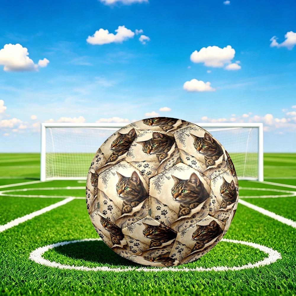 1pc Cat Key Artwork Theme Soccer Ball Football, Size 5, Lightweight PVC, Outdoor Training Soccer Ball,Gift C6590