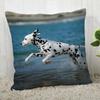 Pillowcase Dalmatians  Modern Home Living Room Decoration