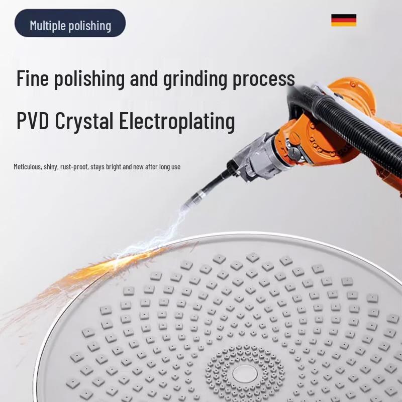 iLeddog German Pressurized Shower Head