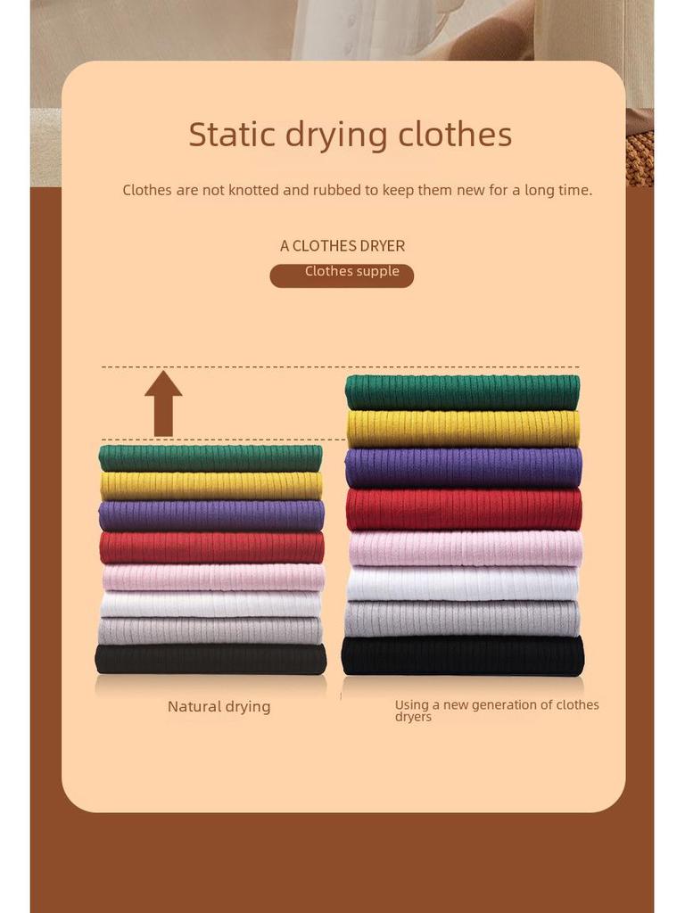 European Standard 110V Multi-Functional Dryer: For Shoes, Gloves, and Pet Mite Removal