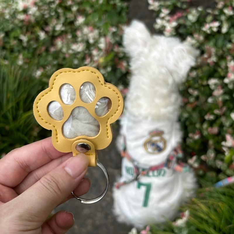Pet Shedding Hair Storage Keychain: Creative Dog Paw Photo & Commemorative Cat/Dog Hair Keepsake Bag