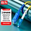 Shengwei Professional Fiber Optic Patch Cables