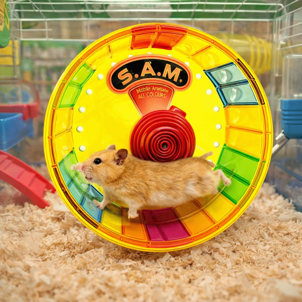 Super Silent Hamster Exercise Wheel Stable Base with Light Pet Jogging Wheel Bite Resistant Colorful Running Wheel