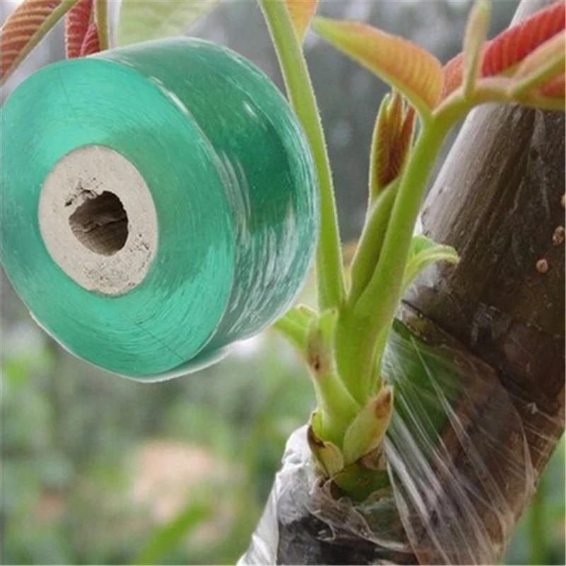 1 Rolle PE-Pfropfband, Selbstklebende & Dehnbare Folie für Bäume, Pflanzen, Setzlinge, Reben, Tomaten, Gartengebrauch (2/2,5/3 cm)