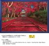 1000-piece Jigsaw Puzzle: Autumn Leaves On the Approach To a Temple (Kyoto) (50x75cm)