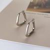 S925 Silver Needle Cold Style Korean Celebrity Stud Earrings: 2023 Trendy High-End Women's Fashion