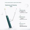 Philips HX2451 Sonic Electric Toothbrush CN Plug (adapter Included)