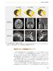 Checkpoints for dental clinical imaging diagnosis