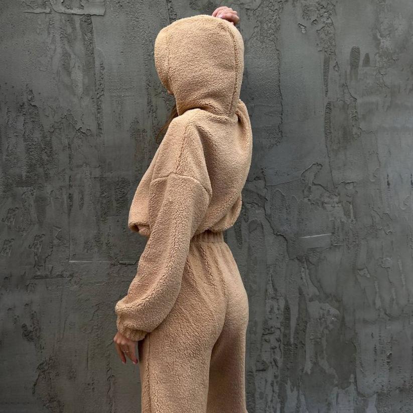 Women Solid Color Long Sleeve Hooded Hoodies Suit Autumn Winter Loose Top Wide Leg Pants