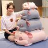 Cute Cartoon Pig Mouse Hamster Bed Pillow Girls Office Lunch Plush Gift Toy