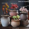 Coarse Pottery Succulent Plant Pot with Creative Picture Book Style for Floor-Standing Silk Flowers