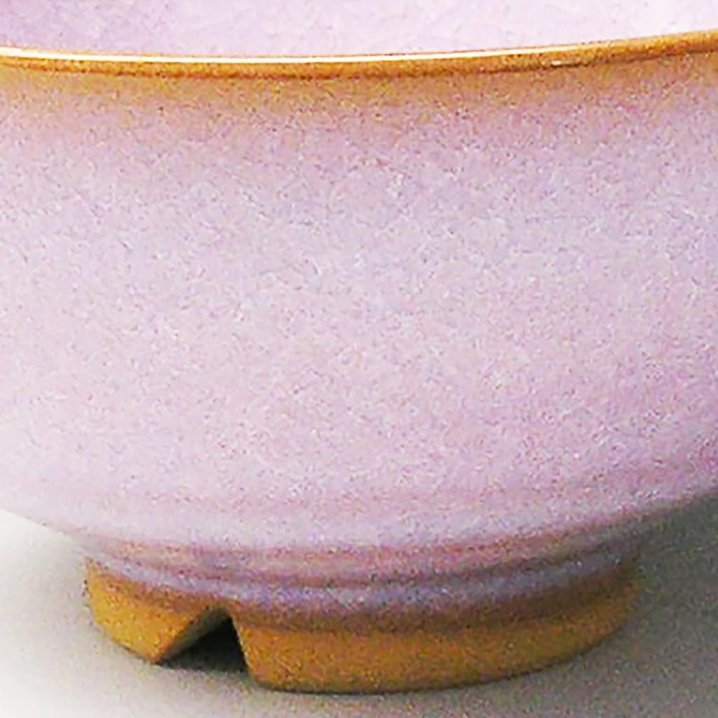 Japanese ceramics Tsubakihide kiln Hagimurasaki set rice bowl M54875350