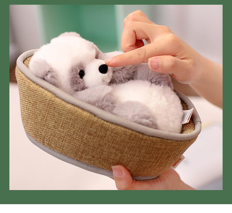HYAKURI Plüsch Niedlich Klein Gefüllter Körper Plüschtier Panda Bär/Teddybär, Tier, Tier/Bärenwickel/Bärenkissen/Feier/Flauschig (C Grau, 21cm)