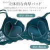 Karim Underwire Bra and Panty Beautiful Breast Cute and Navy Size XL Women's Set, Enhancement, Underwear, Sexy, All-Lace, Sheer, (Navy, (38/85AB))