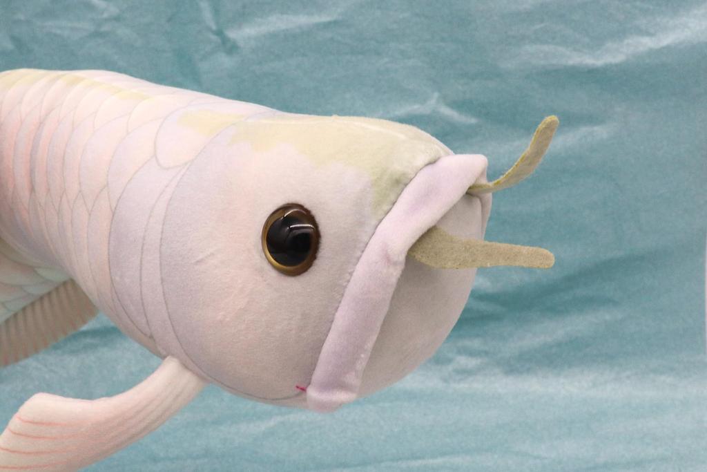 Take Off Silver Arowana Realistic Cute Fish Series