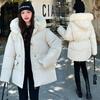 Waist Down Cotton Clothes Women's Long Thickened Warm Big Fur Neck Cotton-padded Clothes Jacket Tide