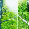 Automatic Irrigation System Free Bending Garden Watering System Spray Irrigation System for Landscape Flower Bed