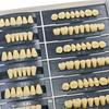 5 Sets/Box Dental Acrylic Resin Teeth 2 Layers Denture 28*1 Full Mouth S/M/L A2 A3 Stability Dentistry Material
