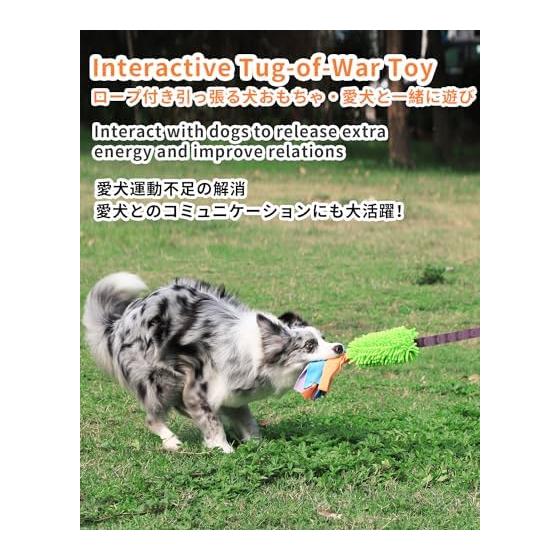 SCHITEC Dog Toy, Stuffed Toy, Rope, Long Chew Toy, Makes Sound, [Relieves Stress and Lack of Exercise], Sturdy, Educational Toy, Suitable for Large,