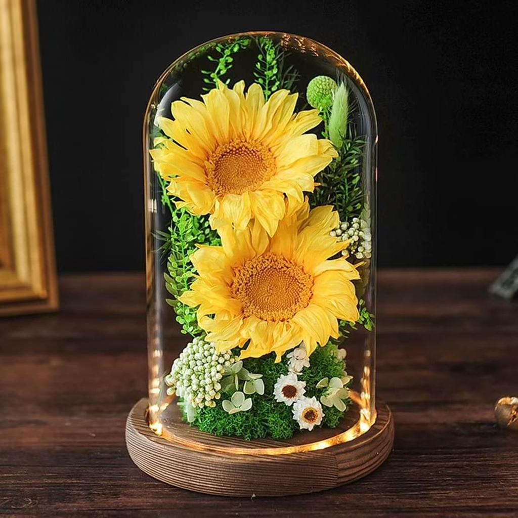 Preserved Sunflower Gift in a Glass Cute Sunflower Preserved Box with LED Carry and Message Perfect for Respect for the Aged Thank You Day and Gifts