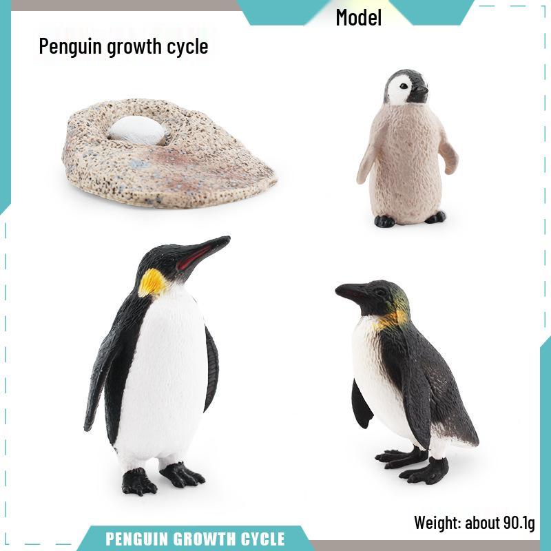 Animal Growth Cycle Models: Chicken, Duck, Goose, Butterfly, Turtle, Frog Montessori Teaching Figurines