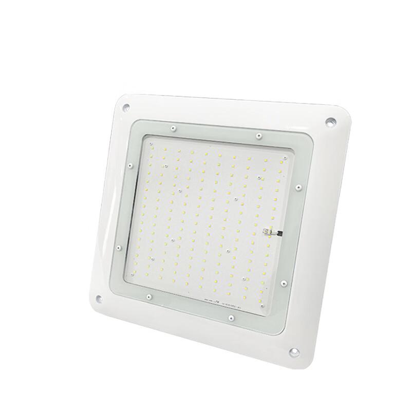 MR MOOSE Industrial LED Canopy Light