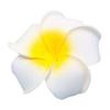 2 ks havajská pěna květina svatební svatební párty spona do vlasů bílá plumeria dekor