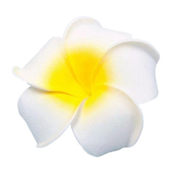 2 ks havajská pěna květina svatební svatební párty spona do vlasů bílá plumeria dekor
