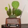 Vaso da Fiori Creativo Forma Radio Vaso da Fiori Pianta Fiorita Succulenta Cont