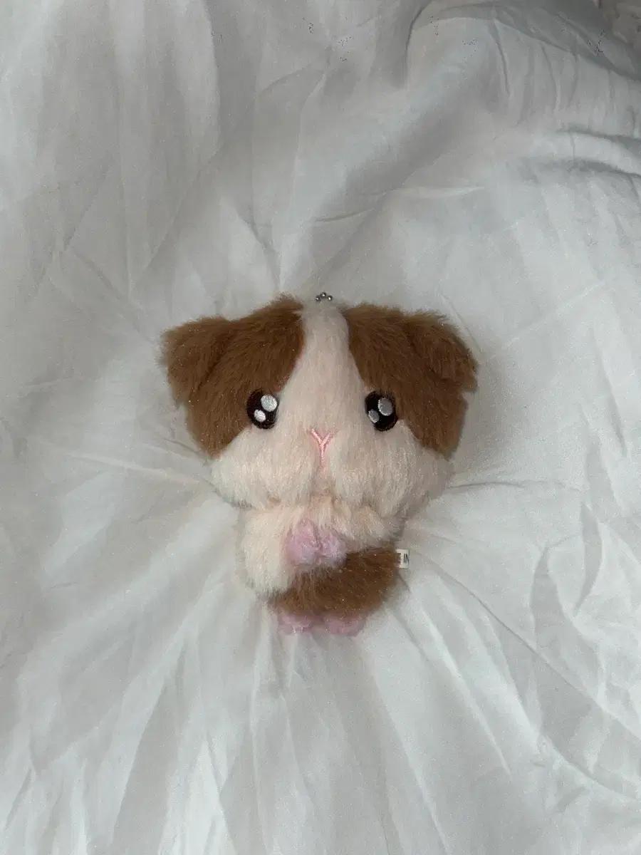 

&TEAM Harua Doll Lungini Used