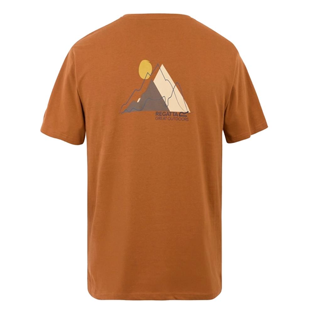 Regatta Mens Cline IX Mountain T-Shirt