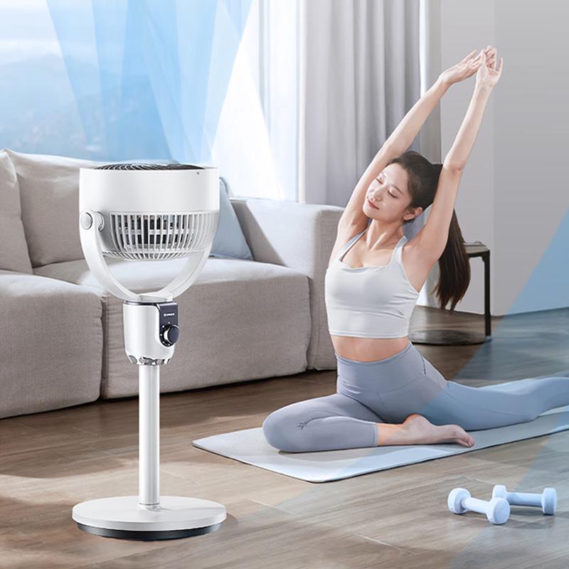 AIRMATE FA18-X168 Mechanical Air Circulator Fan CN Plug (adapter Included)