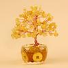 Home Decor Lucky Tree Bonsai Type Money Tree Decoration Decoration Bonsai Money Tree  Home