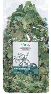 Tivo | Currant Leaf 100G - Currant Leaf 100G