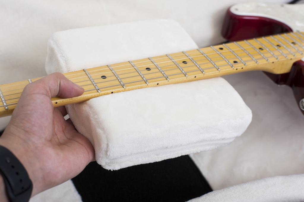 GATOR Pro-Go Series Gig Bag for Electric Guitars with Rain Cover (G-PG ELECTRIC)