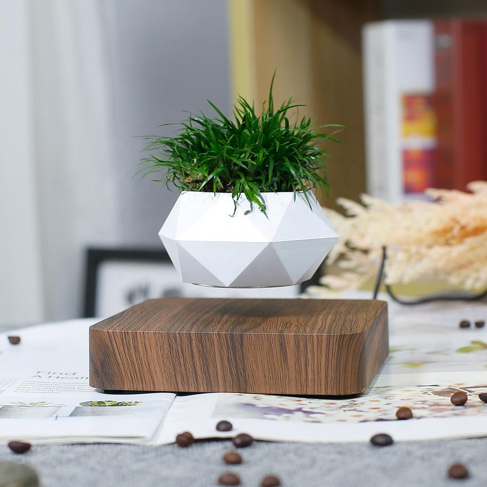 Rotatable Levitating Plant Levitating Plant Pot with Desktop Ornament Plantable Floating Plant Pot