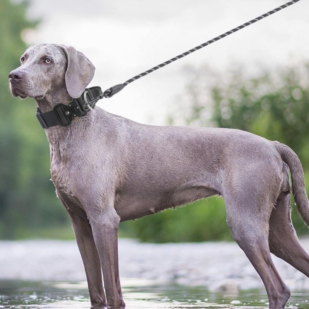 Adjustable Training Harness Pull-Resistant Pet Collar Durable Dog Collar Medium Dogs