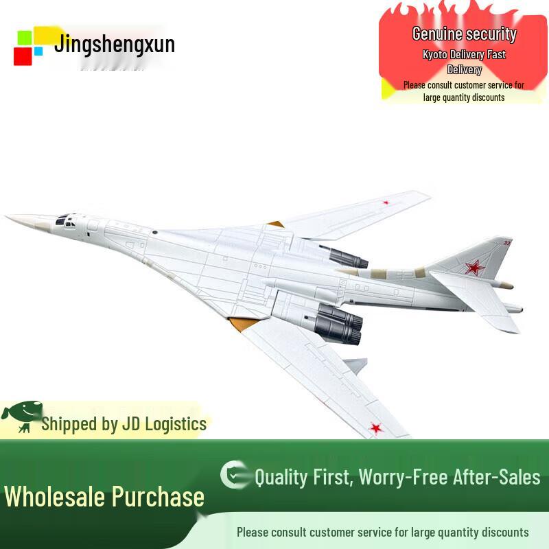 1:200 Soviet Tu-160 White Swan Bomber Model