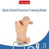 Taigui Medicine Chest & Back Puncture Training Simulator