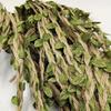 Simulated Green Leaf Hemp Rope for Home Decoration Pastoral Forest Hemp Rope Packaging Rope DIY Simulation Decoration Rattan