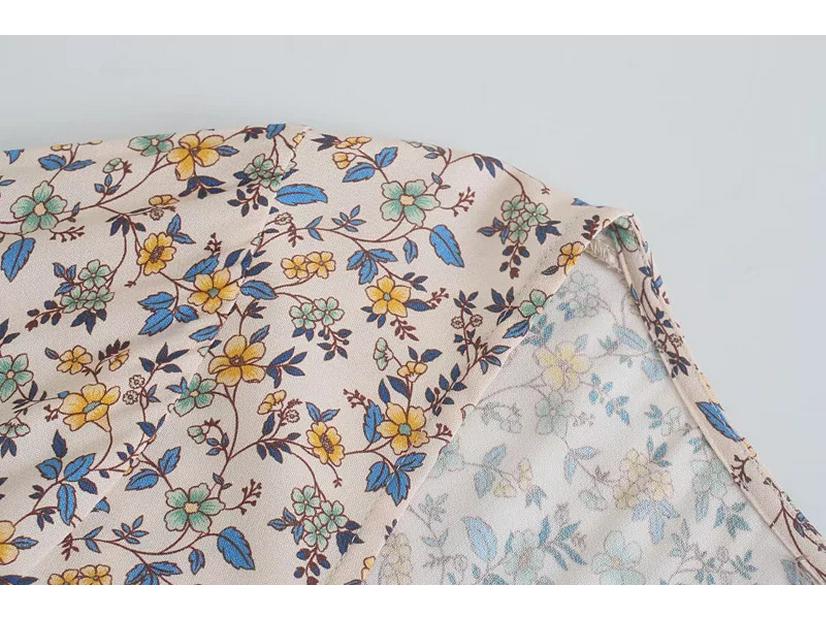 2025 Spring Women's European-American Style Long Sleeve Casual Print Dress