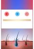 Smart Dual-Wavelength LED Red Light Therapy Cap for Scalp and Hair Care