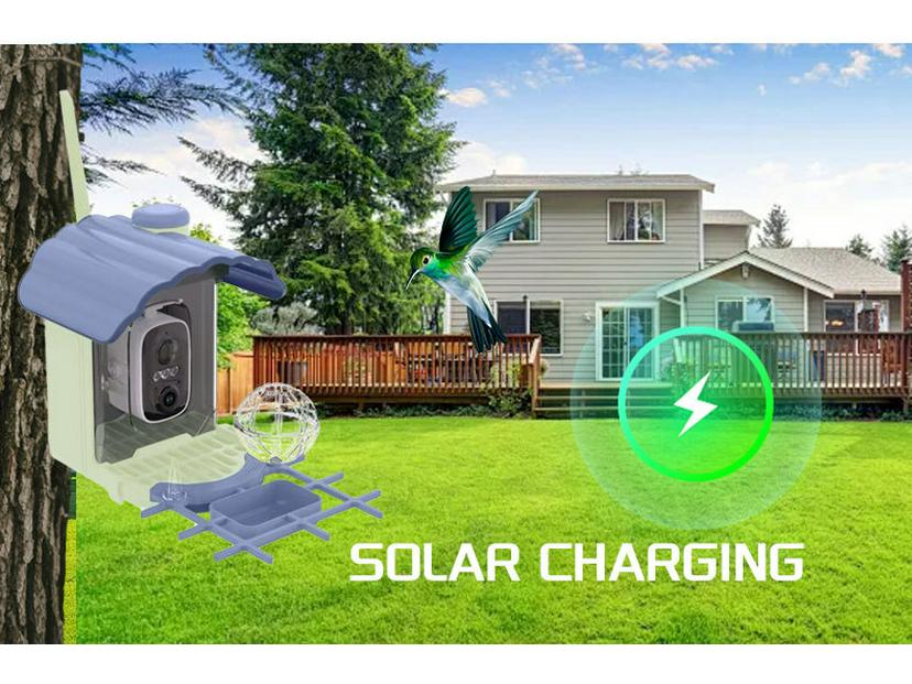 Smart Solar Bird Feeder Camera with Custom Hummingbird Feeder