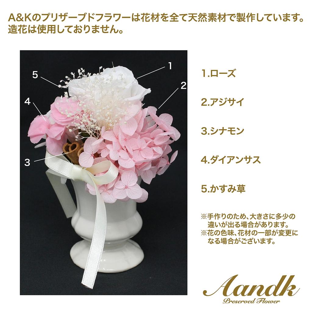 A&K Preserved Flowers (Pink, Clear Case with Vase) Rose Neige Flower Arrangement (Gift/Present/Mother's Day)