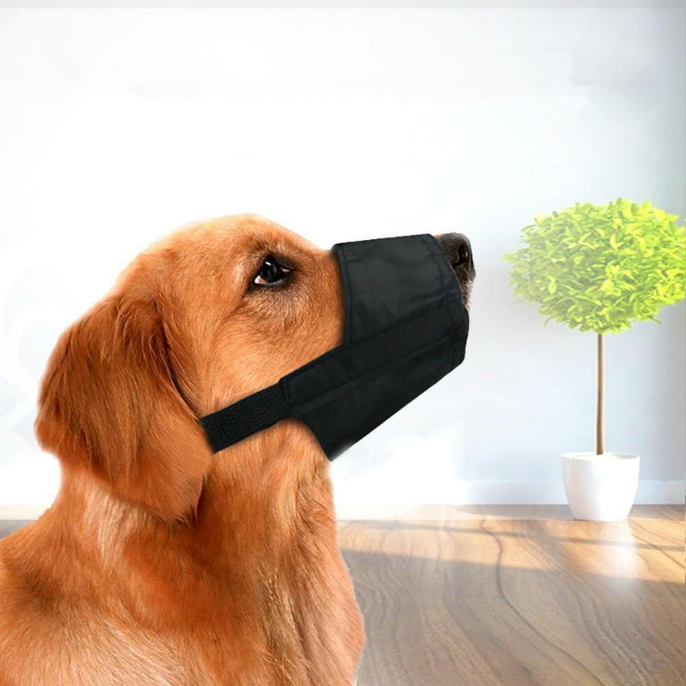 cloth muzzle