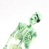 Resin Fish Tank Aquarium Decoration  Ornament Skull Pirate Captain Lifelike Delicate Colors