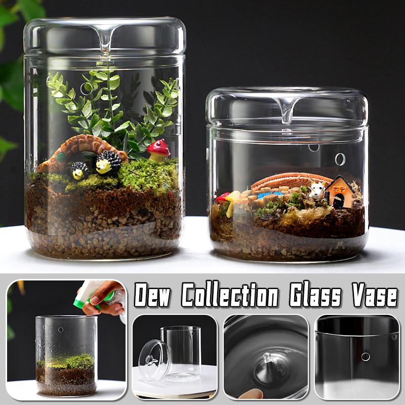 Glass Bottles Creativity Dew Collection Glass Vase Micro Landscape Succulent Moss Landscape Glass Terrarium Home Decor Bonsai