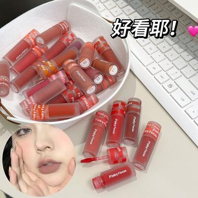 Velvety Matte Long Lasting Pigmented Lip Mud Lipstick For Women