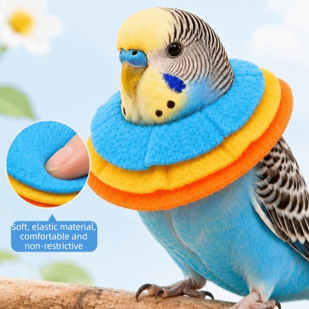 Comfortable Parrot Elizabethan Collar Anti-Bite Parrot Recovery Cone  for Small Cats