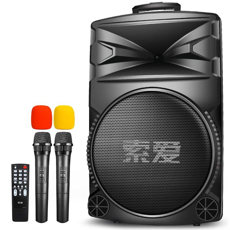 Suoai 12-inch High Power Portable Karaoke Trolley Speaker